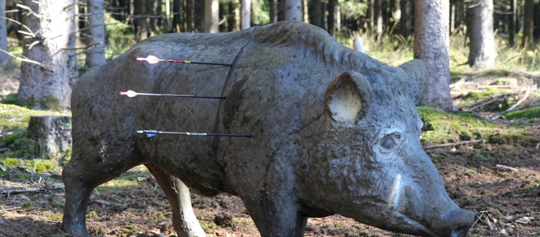 offene Regionalmeisterschaft Bowhunter Nord 2025 des DFBV
