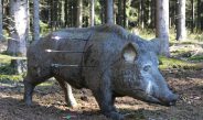 offene Regionalmeisterschaft Bowhunter Nord 2025 des DFBV